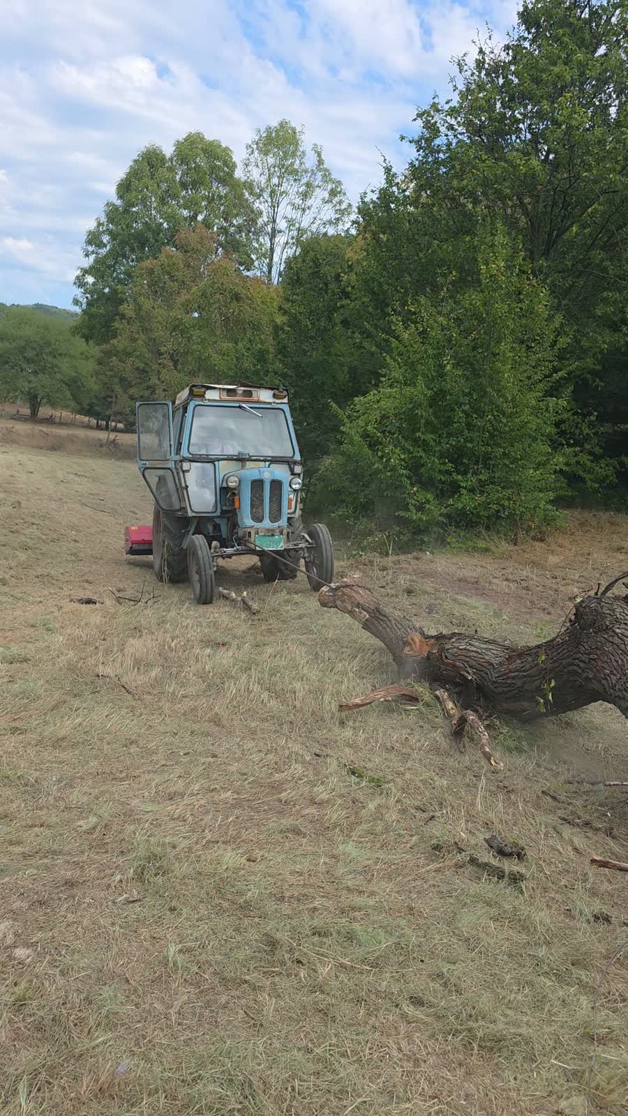 Traktor sa malčerom na očišćenoj livadi, pored oborenog stabla